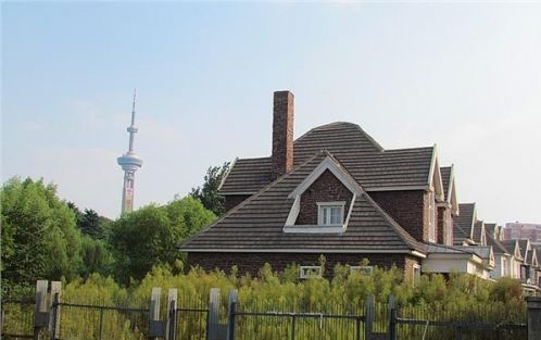 南京城内豪华别墅群闲置 杂草丛生显荒凉 --凤