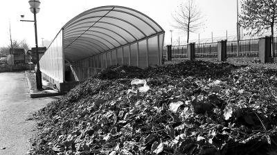 北京一小区地下车库闲置 地上车位不够毁绿停