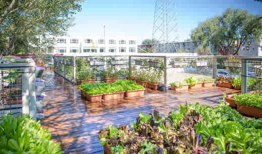 集装箱改造成世外桃源不牛,牛的是人家的雨水循环收集、太阳能发电、生态菜园、西班牙花墙52岁的老人是怎样做到这一切的?来看看吧 你是不是也经常这样:想抛下所有的工作,回归田园,但又不想离开城市。 那是不是可以实现一种桃花源式的都市田园生活? 2014年初夏,52岁的环保人牛健开启了他的桃花源计划。 在北京市顺义区马坡镇,有一座由六个集装箱模块组合而成的可持续实验室。墙壁上挂满了鲜花,屋顶种有芹菜、生菜等绿色食品,同时使用太阳能、风能、沼气等增加能源自给能力,俨然一副世外桃源的景象。 牛