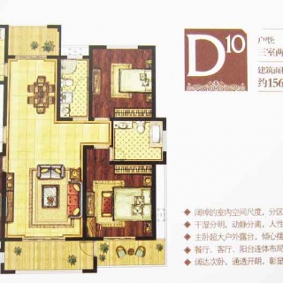 D10