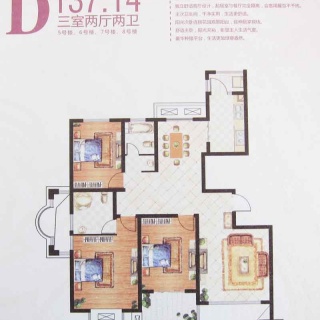 6#标准层西户D户型137.14