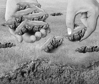 市五中院:土地管理行政行为败诉率高 --凤凰房