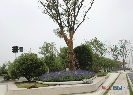 南京保利西江月|南京保利西江月楼盘|南京保利西江月论坛|南京保利西江月房价 - cad信息网