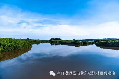 爱上富力红树湾希尔顿逸林酒店的十大理由 --凤