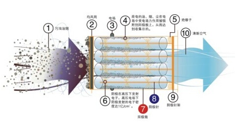 酒精吹气儿什么原理_酒精过敏图片