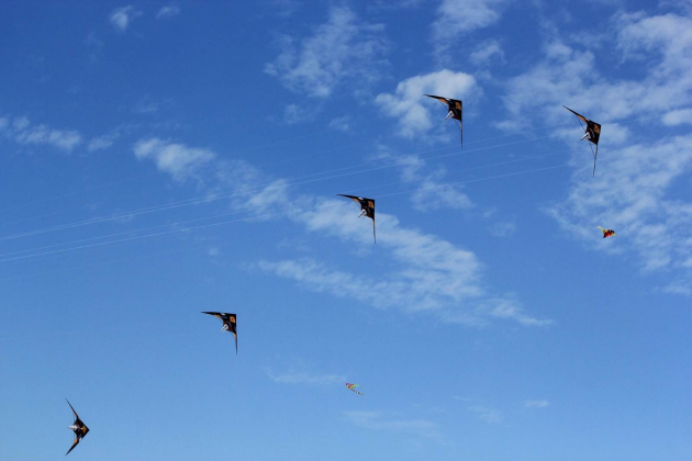 3月新玩法 紫云台风筝节将上演特技风筝 --凤凰