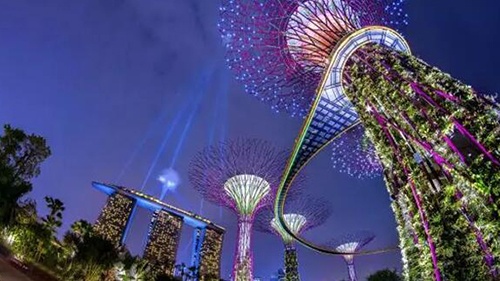 新加坡旁森林城市特约《暑假去哪儿》 --凤凰房