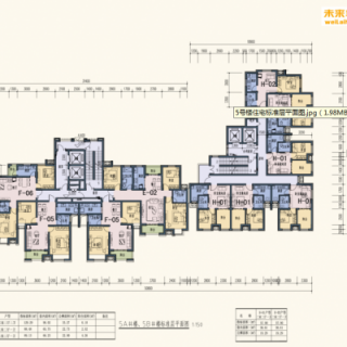 5号楼住宅标准层平面图（含2室3室）