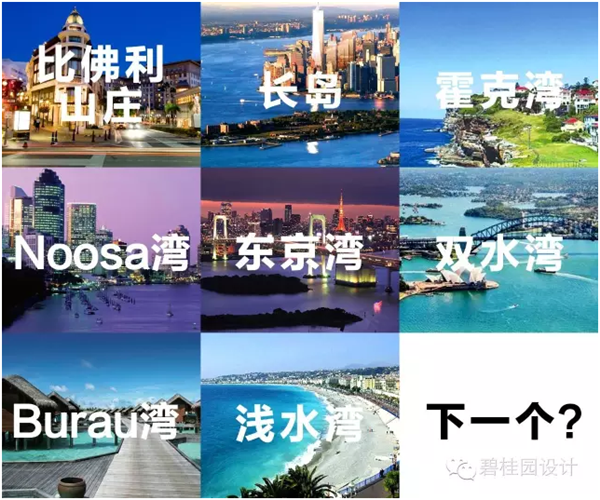 碧桂园森林城市:全球90%的富人都偏爱湾区生