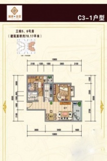 C3-1