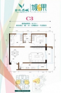 二期C3户型图