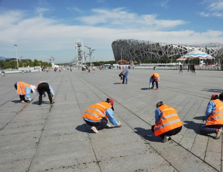 鸟巢进行深度清理 环卫工人挖地砖缝淤泥