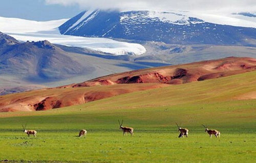 中国最大的县排名 <wbr>第一名面积相当于2个浙江省