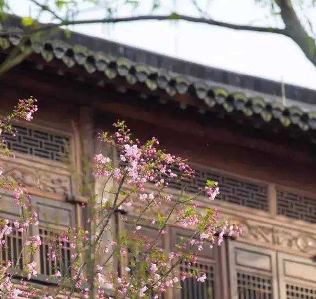 7亿身家的他用28年修复古宅 只为唤起对传统的敬畏 - 子泳 - 子泳WZ的博客 7亿身家的他用28年修复古宅 只为唤起对传统的敬畏 - 子泳 - 子泳WZ的博客