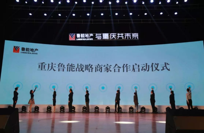 鲁能泰山_鲁能集团收入(2)