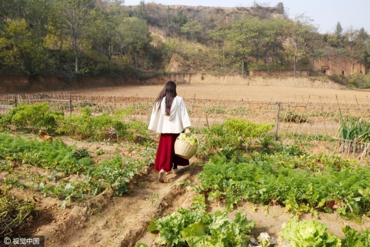 80后美女舍弃城里豪宅 回农村种地住窑洞 - 子泳 - 子泳WZ的博客 80后美女舍弃城里豪宅 回农村种地住窑洞 - 子泳 - 子泳WZ的博客