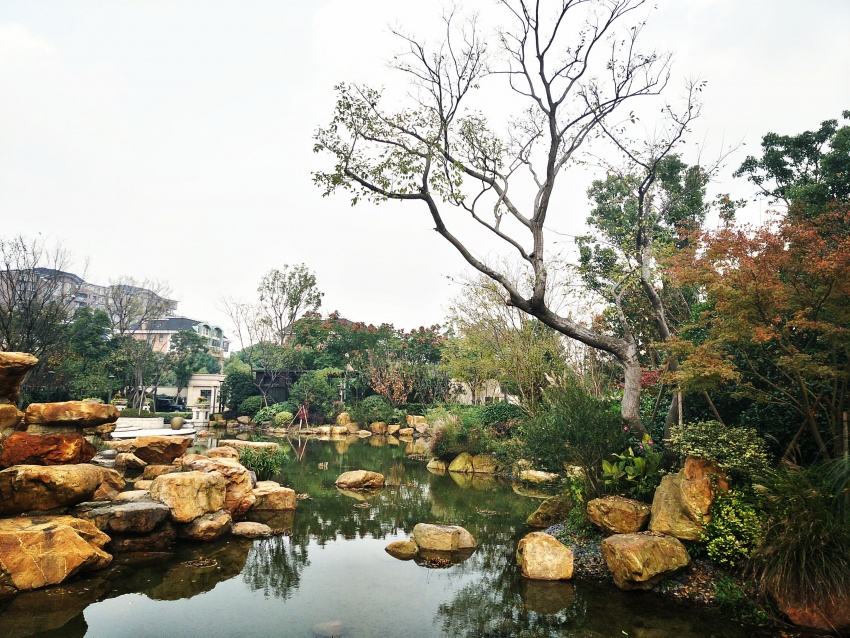 凤凰跑盘记:新贵辈出金虹桥重生 品质成就人文