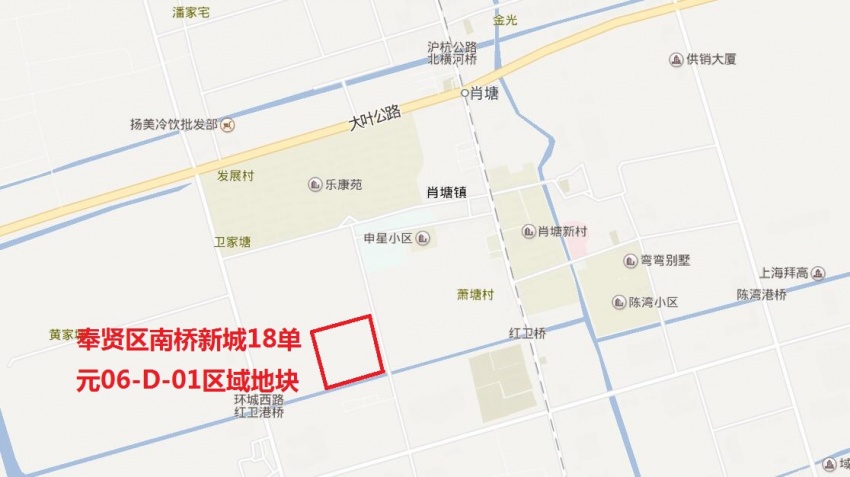 奉贤区南桥新城18单元06-d-01区域地块