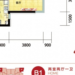 B1户型66平