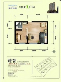 臻智一室两厅一厨一卫