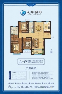 A户型