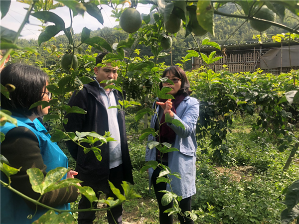 暖冬行动送课下乡碧桂园佛肇区域顺德南部片