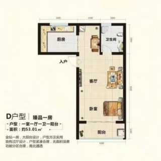 D户型