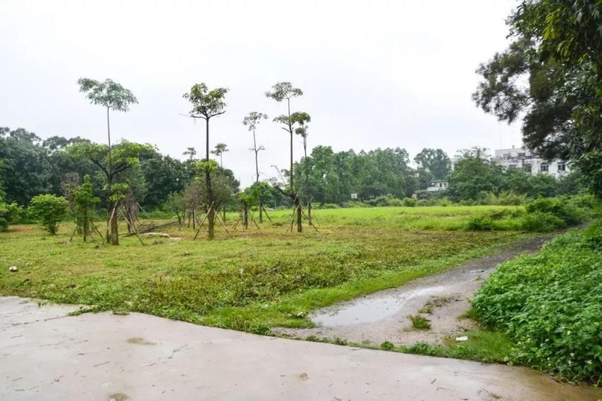 旧江职变身高端住宅区!蓬江老城区罕有挂地!