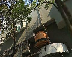 平湖特力商厦楼盘相册 - 凤凰房产深圳