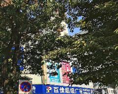 平湖特力商厦楼盘相册 - 凤凰房产深圳