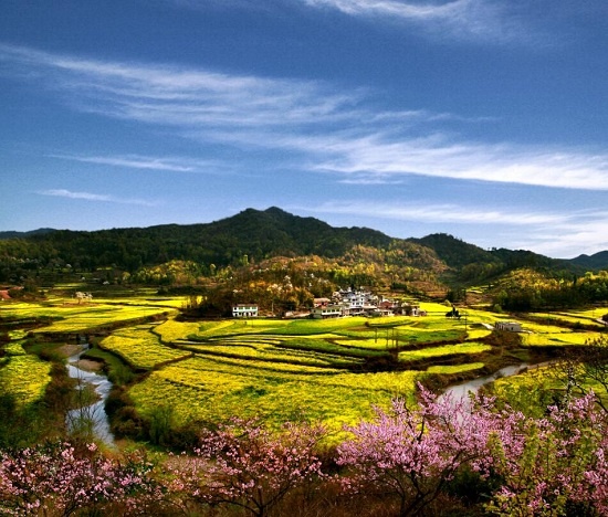 2016年第十四届龙宫油菜花旅游节