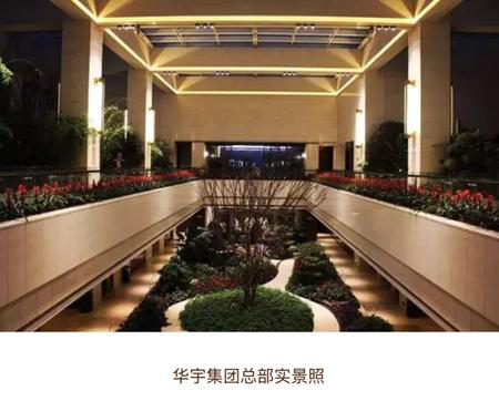 十载峥嵘 专访华宇四川区域公司执行董事蒋杰 ——凤凰网房产重庆