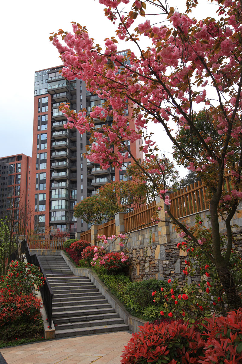 保利春天大道实景图3