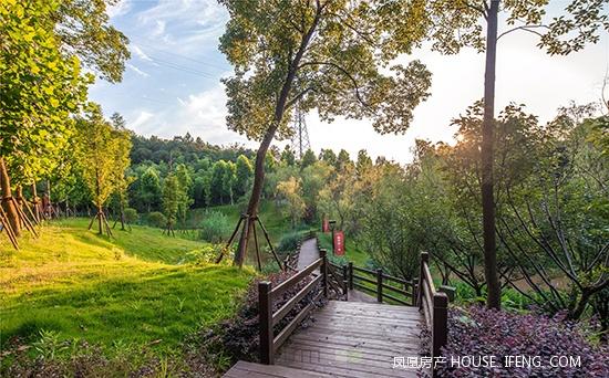 龙湖紫宸:这里留下了孩子最美好的记忆 ——凤凰网房产长沙