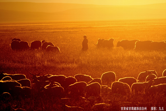 世界上著名的旅行家 b51d57df5c59ff9418ca33f0a79483e9.png