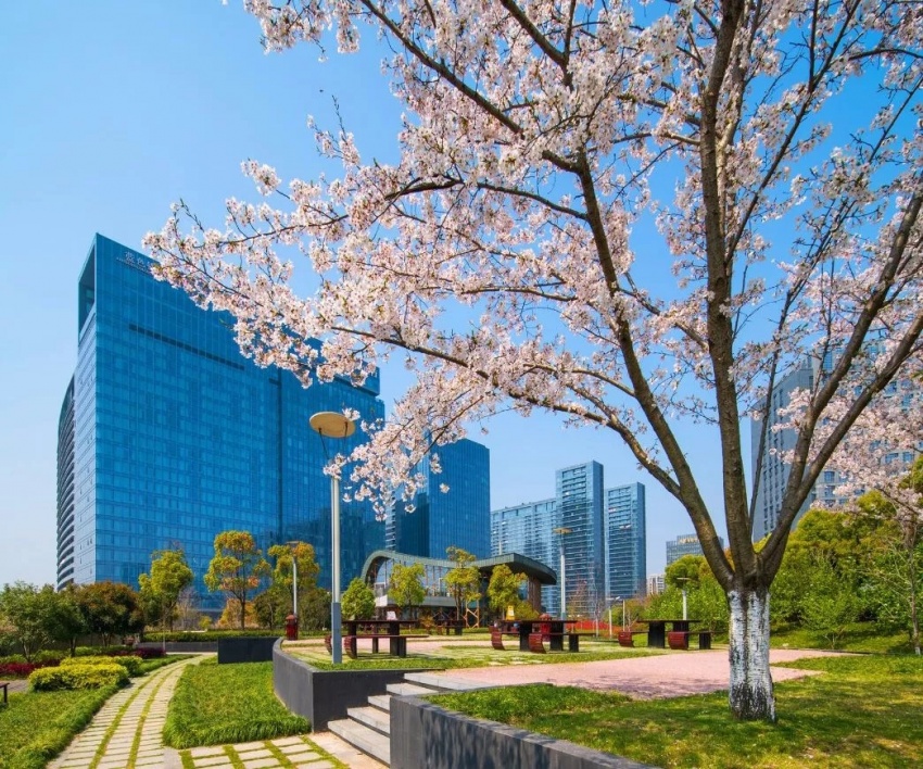 杭州上城区望江公园一带