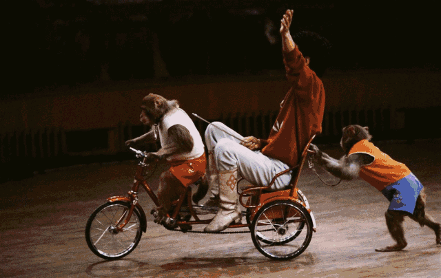 640_404gif 动态图 动图