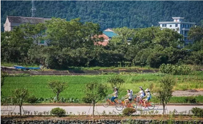 已与下蒋岙村合并组成白鹭湾村.