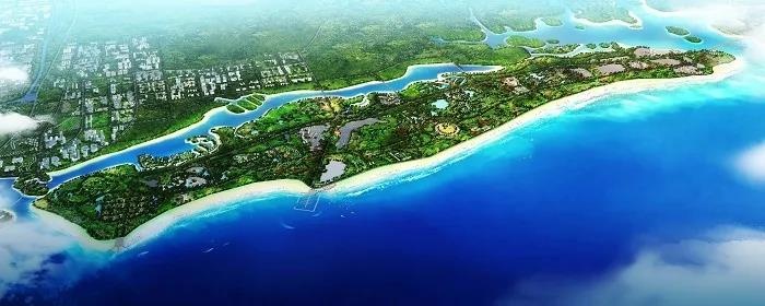博贺湾新城一颗超新星的成长