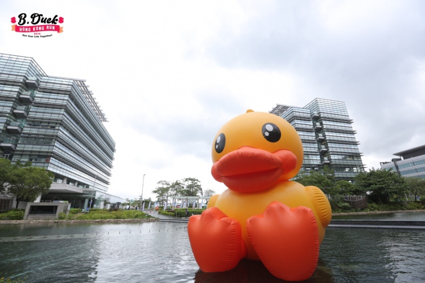 *b.duck欢乐跑香港站6米高小黄鸭