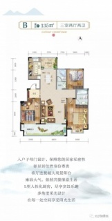B户型