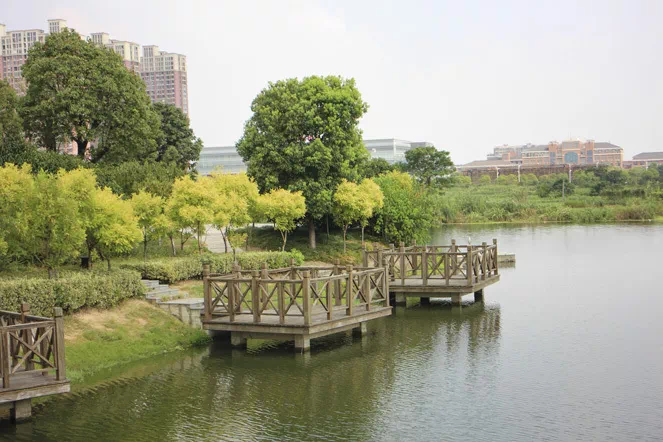 放大谷歌地图,这个洞见城市十年人居的规划惊艳了横林!